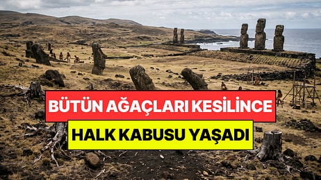 Bütün Ağaçları Kesilen Adada Kabus Yaşandı: Ada Halkı Yok Oluyordu