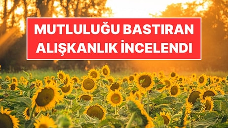 Mutluluğu Bastıran Alışkanlık İncelendi
