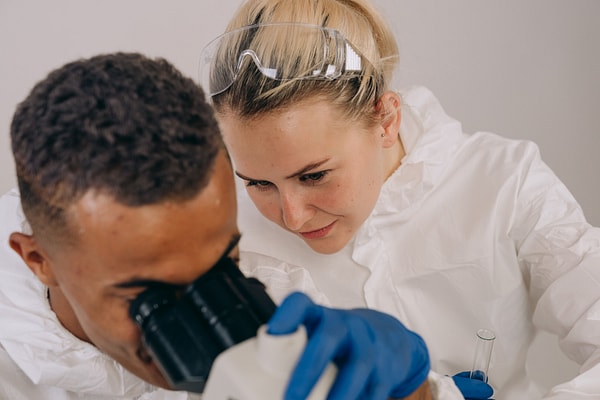 Yöntem, Wolbachia'nın erkekleri etkin biçimde kısır hale getirmesinden yararlanıyor.