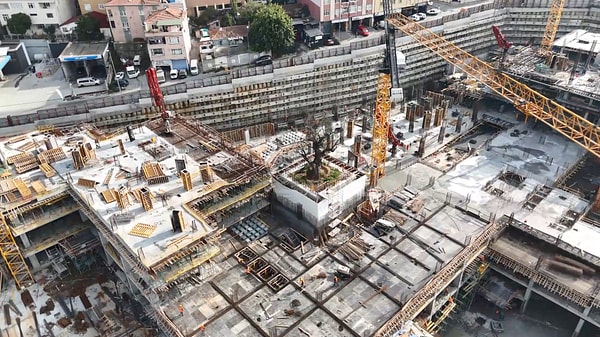 Yüzlerce yıllık olduğu tahmin edilen ağacın anıt ağaç statüsünde olup olmadığı bilinmiyor.
