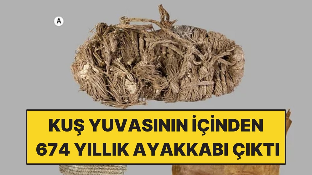 Kuş Yuvalarını İncelediler: İçinden 674 Yıllık Ayakkabı Çıktı