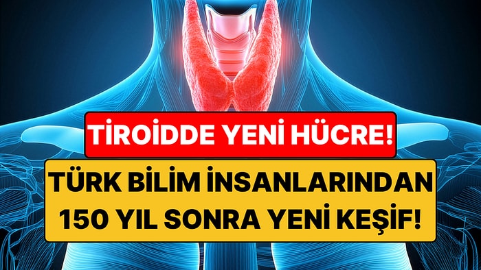 Tiroid Bezinde 150 Yıl Sonra Yeni Hücre Keşfi: Türk Bilim İnsanları Buldu!