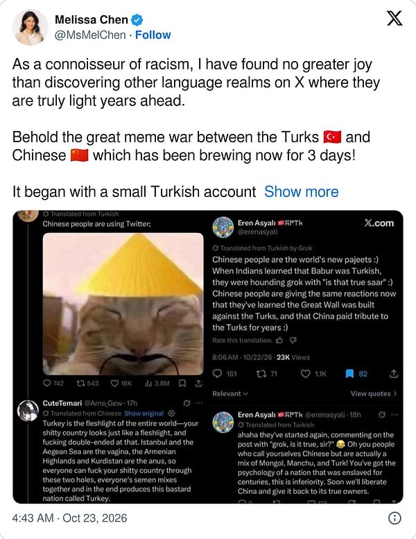 Her Şey Bir Kedi Paylaşımıyla Başladı