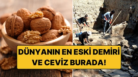 Japon Büyükelçi Kaman'da: Cevizi de Var, Dünyanın En Eski Çeliği de!