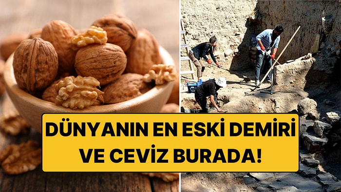 Japon Büyükelçi Kaman'da: Cevizi de Var, Dünyanın En Eski Çeliği de!