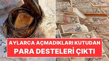 Kötü Koktuğu İçin Aylarca Açmadıkları Kutudan Para Desteleri Çıktı