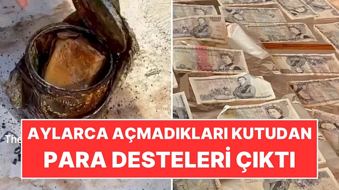 Kötü Koktuğu İçin Aylarca Açmadıkları Kutudan Para Desteleri Çıktı