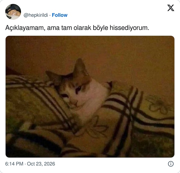 👇
