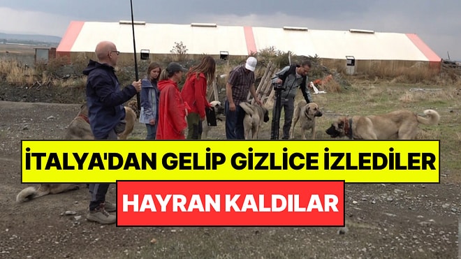 İtalya'dan Eskişehir'e Gelip 1 Ay Boyunca Gizlice İzlediler: Hayran Kaldılar