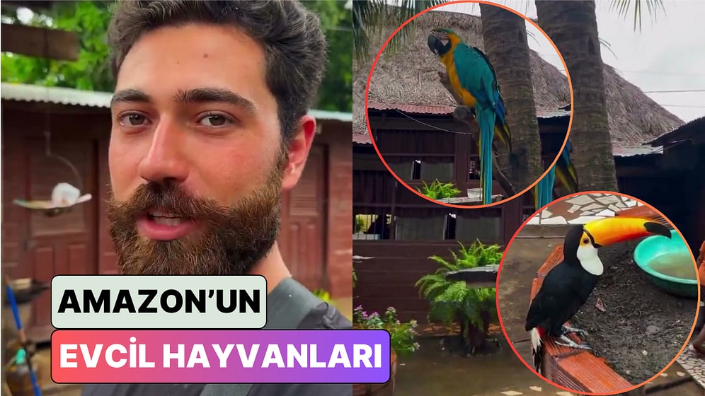 Gezgin Berkay Keskiner Amazon'daki Köyde Evcil Olarak Beslenen Papağan ve Tukanı Gösterdi