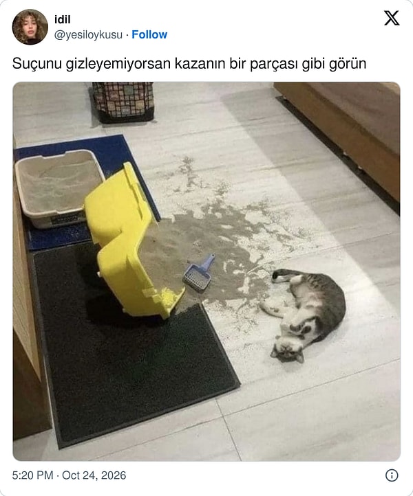 Profesyonellik 👌