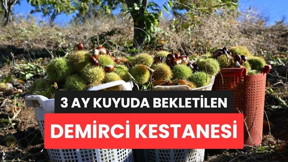 Üç Ay Kuyuda Bekletiliyor, Lezzeti Oturuyor: Kilosu 210 Liradan Alıcı Buluyor