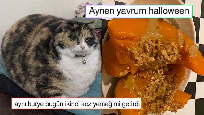 Maaşların 3 Günde 1 Yatması Gerektiğini Savunandan Halloween'e En Uygun Tatlıya Son 24 Saatin Viral Tweetleri