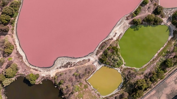Gölün suyu pembe, mavi ve yeşil tonlara büründü, kuru tuz tabakasındaki canlılar yeniden hayat buldu.