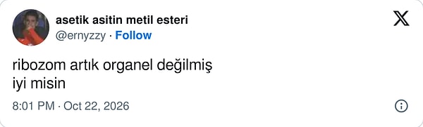 Okulda öğrendiklerimiz yalan çıktı.