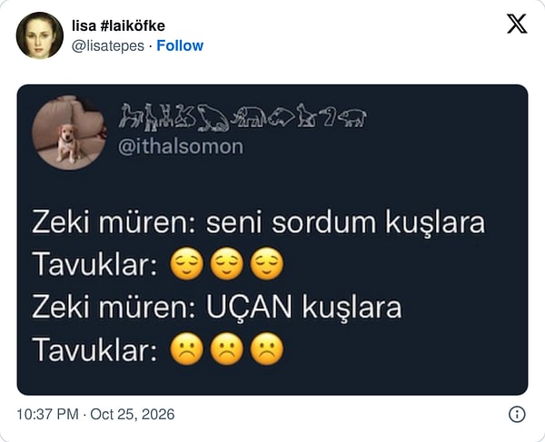 Tavuklara Zeki Müren sorusu