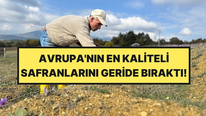 Avrupa'nın En İyisi, Karabük'te Yetişiyor: Gramı 1.450 TL'den Satılıyor