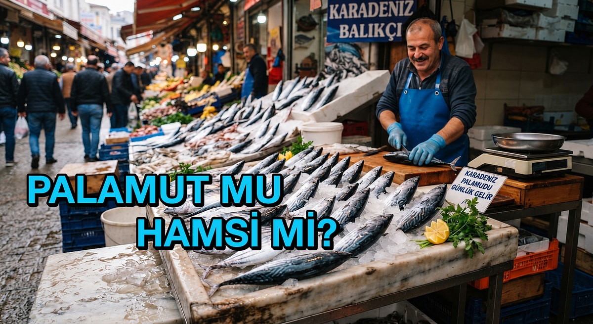 Hamsiyi Sollayacak mı? Palamut Nasıl Oldu da En Çok Tercih Edilen Balıklardan Biri Haline Geldi?