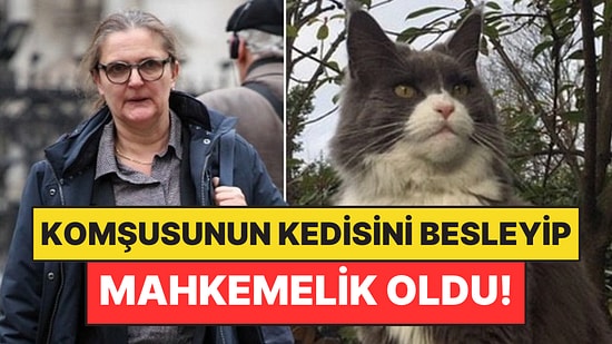 Komşusunun Kedisini Beslediği İçin Mahkemelik Oldu