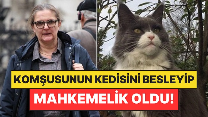 Komşusunun Kedisini Beslediği İçin Mahkemelik Oldu