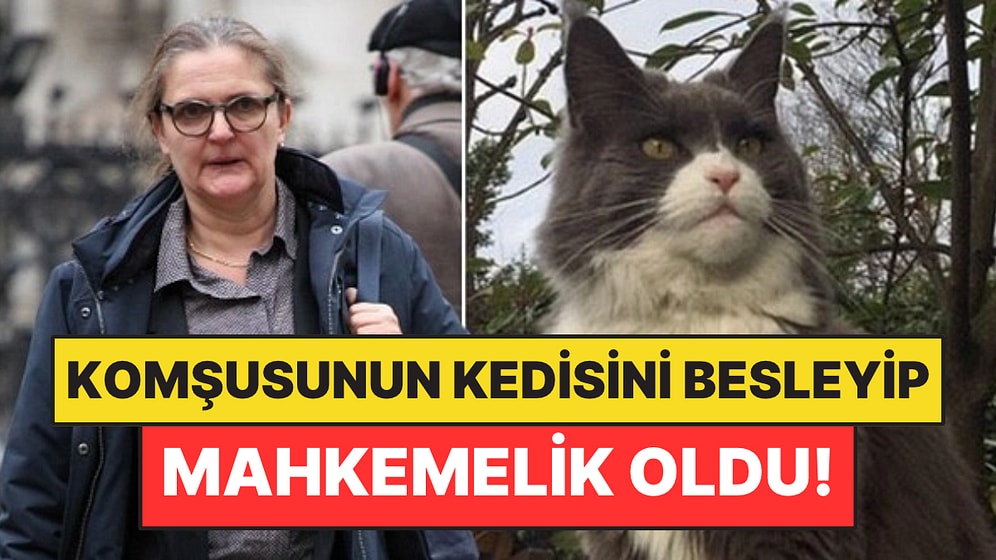 Komşusunun Kedisini Beslediği İçin Mahkemelik Oldu