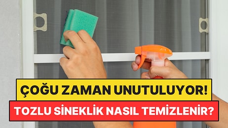 Camı Siliyorsunuz Ama Sineklik Tozlu Kalıyor: Temizlemek İçin İki Malzeme Yetiyor