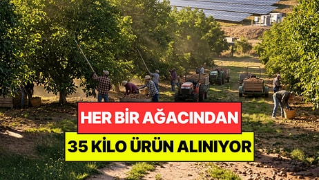 8 Yıl Boyunca Tek Tek İzlediler: Her Ağaçtan 35 Kilo Ürün Çıkıyor