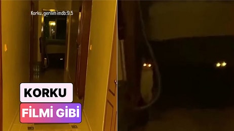 Bir Kadın Evde Tek Başınayken Kedilerinin Kendisine Yaşattığı Gerilim Dolu Anları Paylaştı