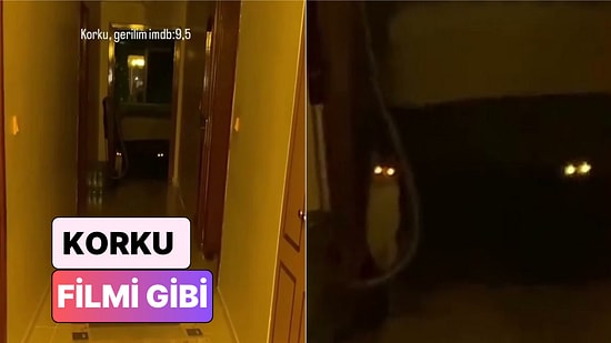 Bir Kadın Evde Tek Başınayken Kedilerinin Kendisine Yaşattığı Gerilim Dolu Anları Paylaştı