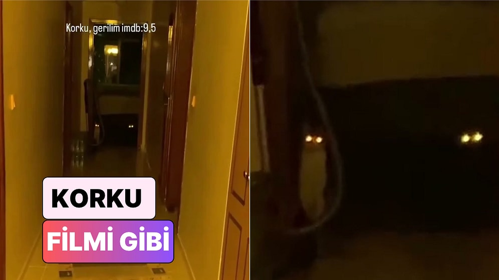 Bir Kadın Evde Tek Başınayken Kedilerinin Kendisine Yaşattığı Gerilim Dolu Anları Paylaştı