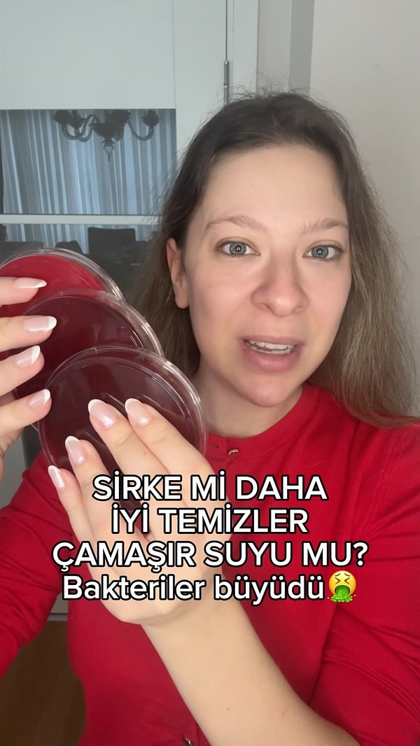 Peki sirke ile çamaşır suyu bakterilere karşı nasıl çalışıyor?