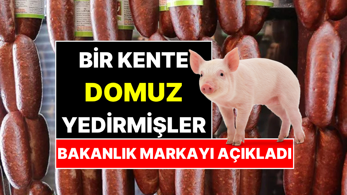 s-2aed72879ce491f0fbce4c9ca41b9f02dfcabee8.jpg