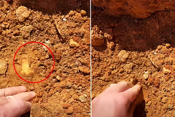 Günlerdir arama yapan deneyimli define avcısı, dedektörün zayıf sinyal vermesine rağmen kazmaya karar verdi.