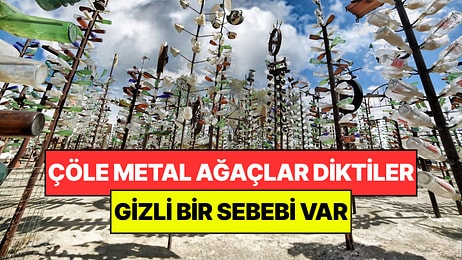 Çölün Ortasına Yüzlerce Metal Ağaç Diktiler: Dallarında Yaprak Yerine Şişeler Sallanıyor