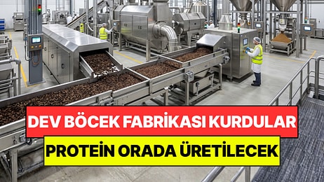 Eski Matbaayı Böcek Fabrikasına Çevirdiler: Yılda 5 Bin Ton Protein Üretecekler