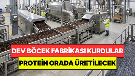 Eski Matbaayı Böcek Fabrikasına Çevirdiler: Yılda 5 Bin Ton Protein Üretecekler