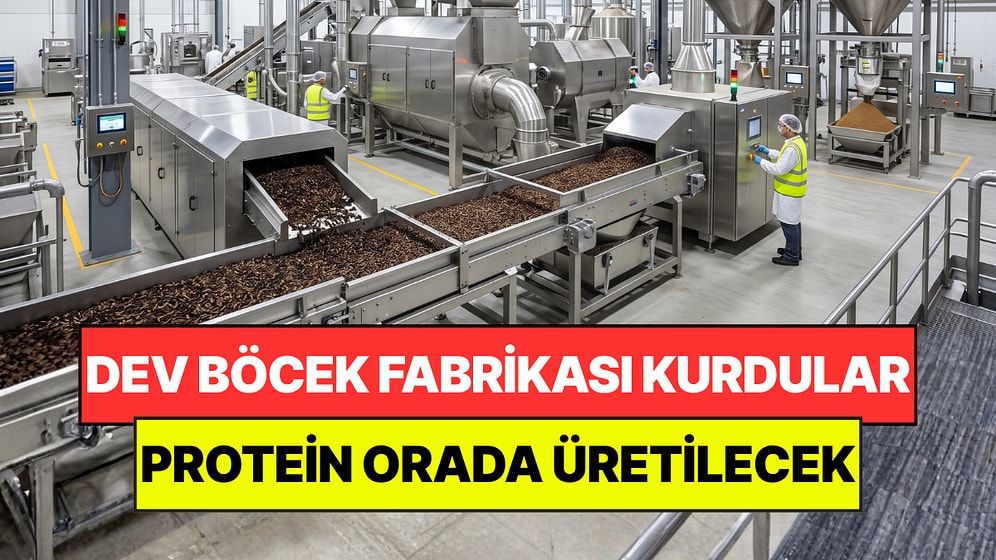 Eski Matbaayı Böcek Fabrikasına Çevirdiler: Yılda 5 Bin Ton Protein Üretecekler