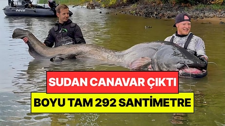 Sudan Canavar Çıktı: Dünyanın En Büyük Yayın Balığını Yakaladılar