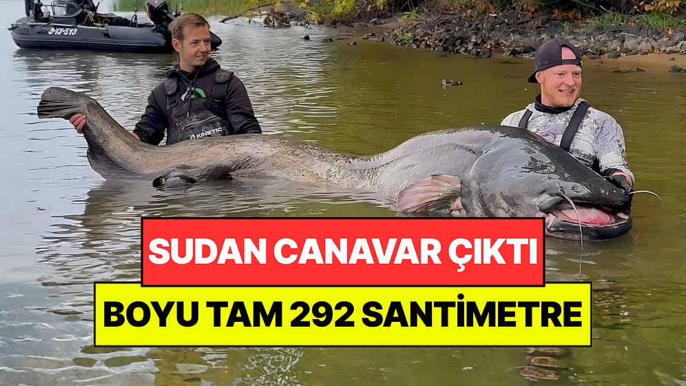Sudan Canavar Çıktı: Dünyanın En Büyük Yayın Balığını Yakaladılar