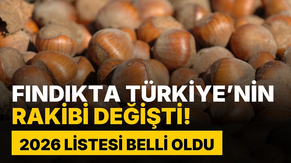 Şampiyon Belli, İkinci Kim? Dünyanın En Çok Fındık Üreten Ülkeleri 2026 Listesi Belli Oldu!
