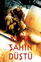Kara Şahin Düştü