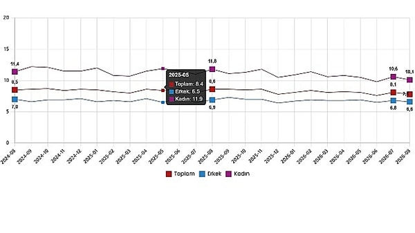 Aynı günlerde TÜİK'in Ağustos işgücü verileri de önümdeydi.