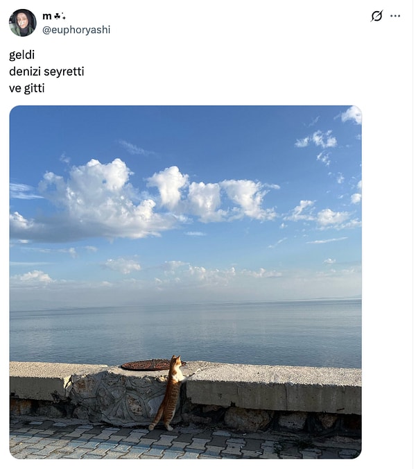 Kısa ama etkili ziyaret.