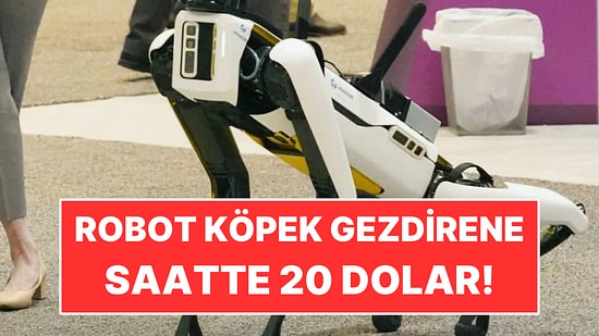 Saatine 20 Dolar Veriyorlar: İş Robot Köpek Gezdirmek!
