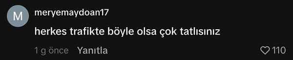 Videoya yorum yağdı, kimi trafikte herkesin böyle olmasını diledi: