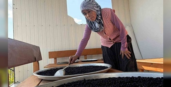 Fidanları Oğlu Getirdi