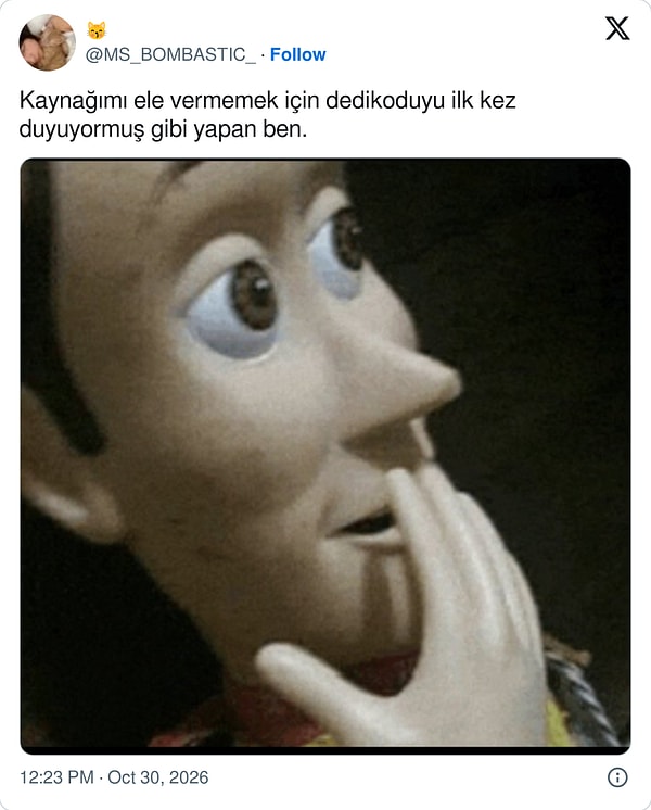 Yanlışlıkla eksik kalan bilgiyi verirsin ve her şey biter.