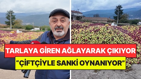 Tarlaya Giren Ağlayarak Çıkıyor: Tonlarca Elma Çürümeye Bırakıldı