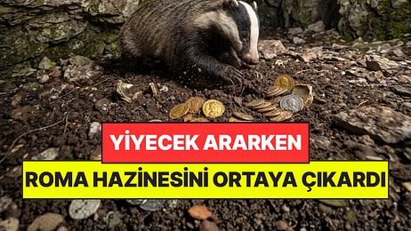 Yiyecek Arayan Porsuk Beklenmeyeni Buldu: 1600 Yıllık Roma Hazinesini Ortaya Çıkardı