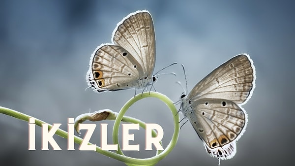 19-25 Haziran haftası para durumu: İkizler ve Yükselen İkizler ♊